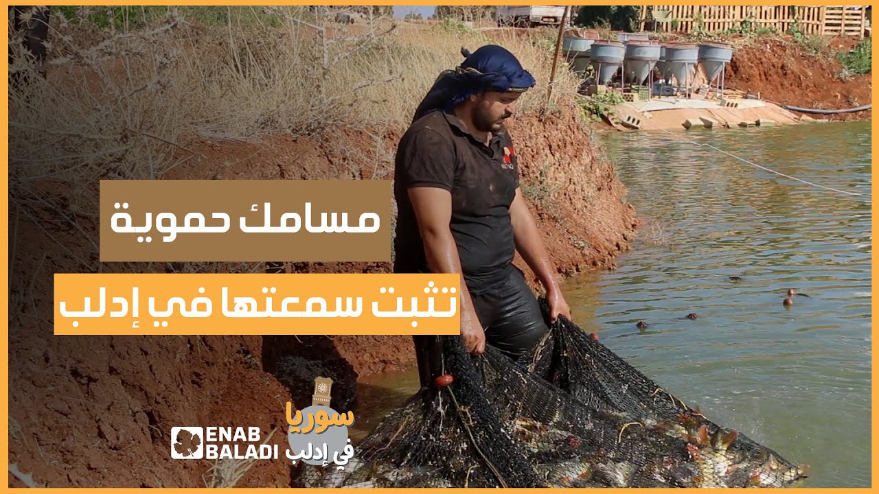 مسامك حموية تثبت سمعتها في إدلب