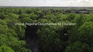 The Drew Forest A Treetop View