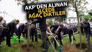 Ekrem İmamoğlu, AKP'den CHP'ye geçen belediyede ağaç dikti!