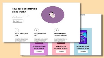 Full Landing Page Tutorial Using HTML, CSS and JS | Part 2 | Pet Food Website |