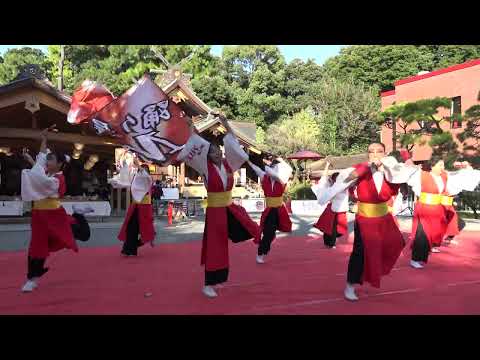 踊り屋MIX【4K】／コンテストCグループ／秦野元気まつり 秋の陣2022（二日目）