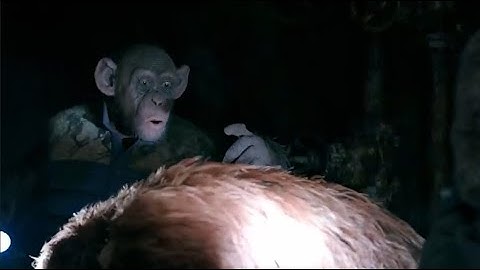 oh no monkey meme (bad ape moment)