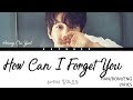 Hwang chi yeul  how can i forget you   mr sunshine    ost part 15 lyrics