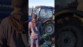 Трактор Т-40 и Трактор ловол754б капуста #youtube