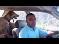 تبلت - سگ نجس نیست