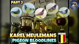 KAREL MEULEMANS CHAMPION PIGEON BLOODLINES DOCUMENTARY (PART 2)