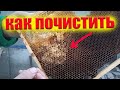 Что делать если в рамках мед закристаллизовался и пчелы его не перерабатывают. Улей Паливоды
