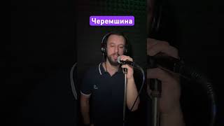 Черемшина - Стелла Джанни (Sergiy184) Cover