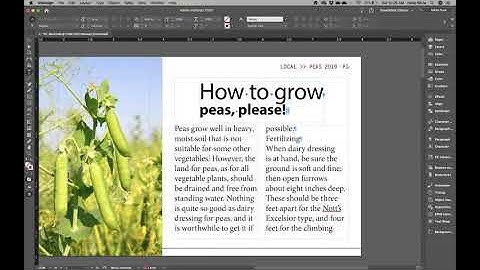 InDesign Typography Tools 3 (Flowing Text)