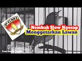Pleci Nembak Wit Wit Slow Sejalur Menggetarkan Lawan Mp3 - Mp4 Download