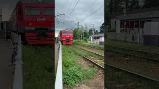 Торжок 036 отъезжает от платформы Бендгардовка #санктпетербург #train_rus #ржд #поезд#железнаядорога