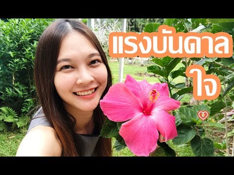 แรงบันดาลใจ สร้างได้อย่างไร งานวิจัยแรงบันดาลใจเกี่ยวกับการเรียน | หมอจริง เข้าใจวัยรุ่น Dr Jing