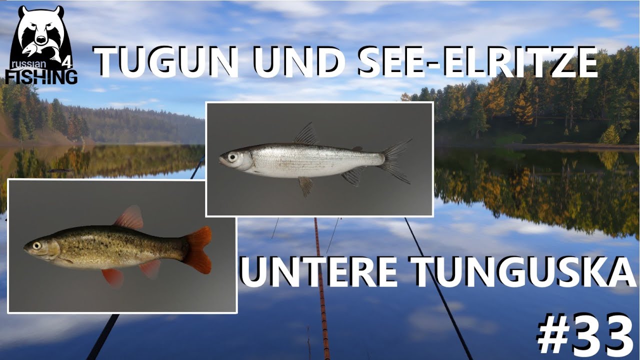 Tugun und See-Elritze Untere Tunguska