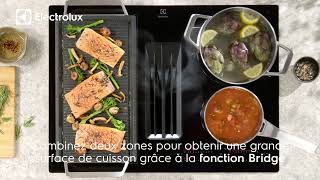 Plaque Induction Aspirante Electrolux