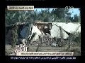 #هنا_العاصمة الدولة تواجه التعديات على