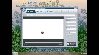 Amazing Flash to MOV Converter Tutorial