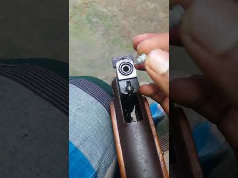 Diana mod 35 Airgun Revew