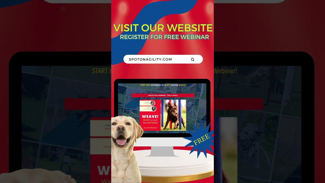 Access Our FREE Weave Pole Training Webinar NOW! | Dog Agility Training