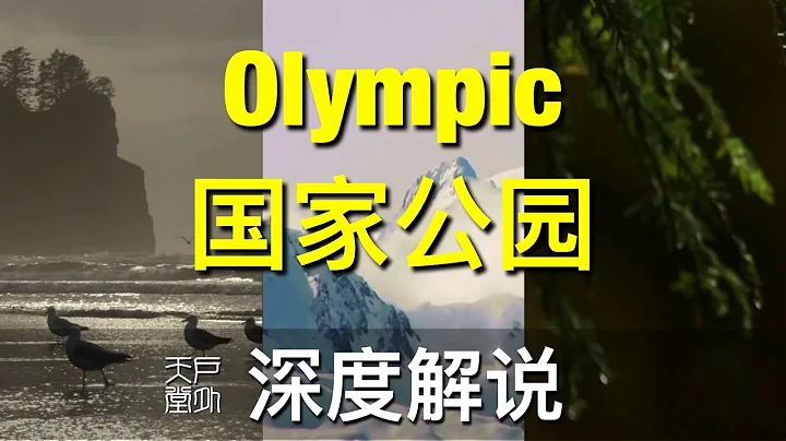 Olympic National Park 美國奧林匹克國家公園 - 海灘 雪山 雨林 純凈的大自然 - 戶外天堂 - 天天要聞