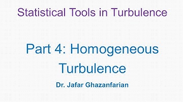 Statistical Tools in Turbulence- Part 4: Homogeneous Turbulence