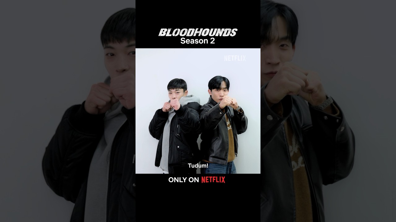 our boxing duo is back for 