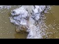 #Dusty n foamy water crumbling#clay #viral#youtubefeed#youtubefeed#mittimultani#crumbleart