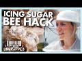 Kate Discovers a Bizarre Use for Icing Sugar | Food Unwrapped