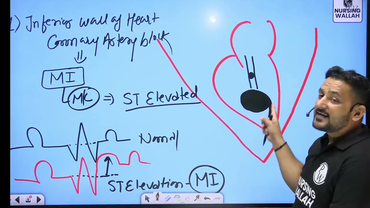 11   Cardiovascular System 11   Anatomy and Physiology of Heart Part