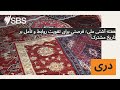 هفته آشتی ملی؛ فرصتی برای تقویت روابط و تأمل بر تاریخ مشترک | SBS Dari - اس بی اس دری