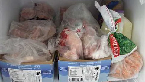 Introduction to Feeding Raw Part 2 Myths, Facts and Resources -prey model, BARF, natural dog food