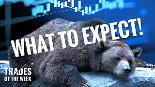 Is The Bull Market Awake Or Is The Bear Just Taking A Nap? | Trades Of The Week