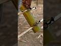 Good idea simple bamboo trap technique against #bushcraft