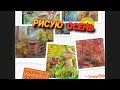 РИСУЮ 🍁🍂🍃ОСЕНЬ !!!