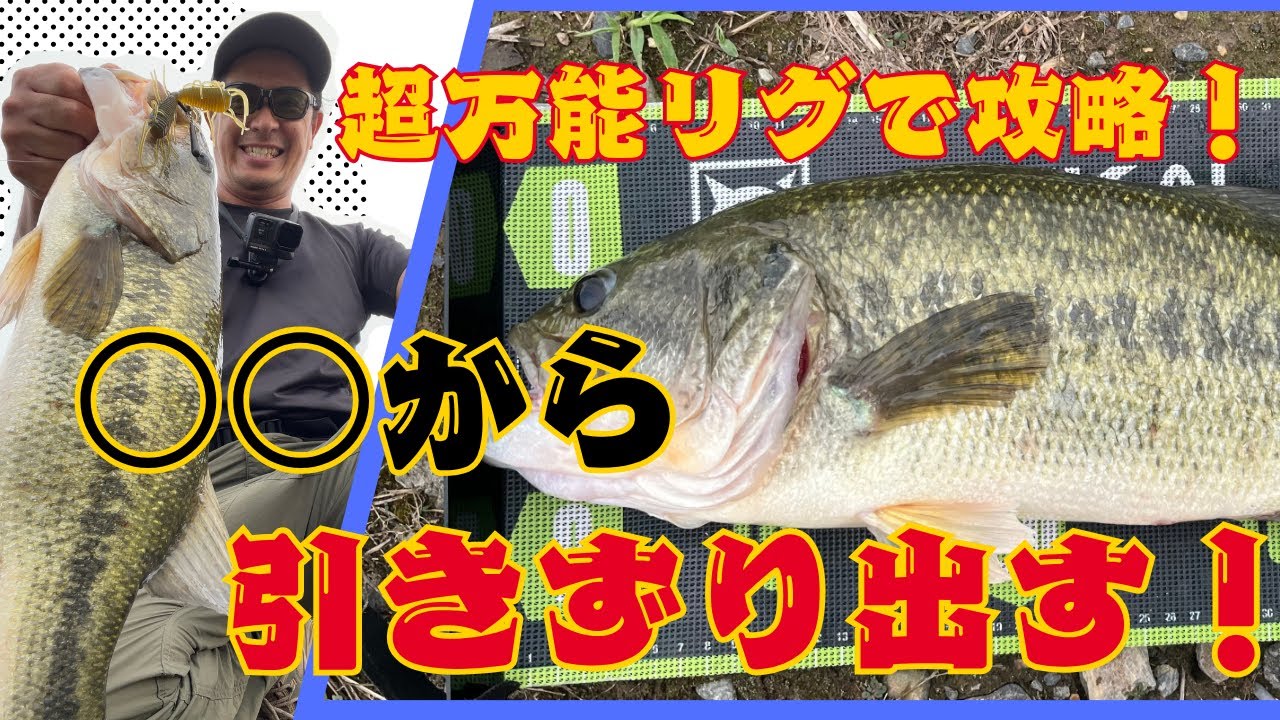 絶対に使うべき！超万能リグで土管に潜むBigバスを引きずり出す！#バス釣り #大江川 #五三川 #bassfishing #raidjapan