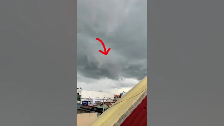 Rồng xuất hiện tại Việt Nam