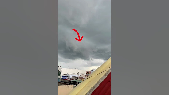 Rồng xuất hiện tại Việt Nam
