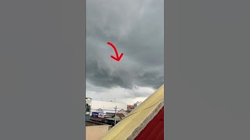 Thumbnail of Rồng xuất hiện tại Việt Nam