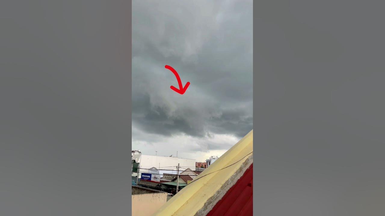 Rồng xuất hiện tại Việt Nam