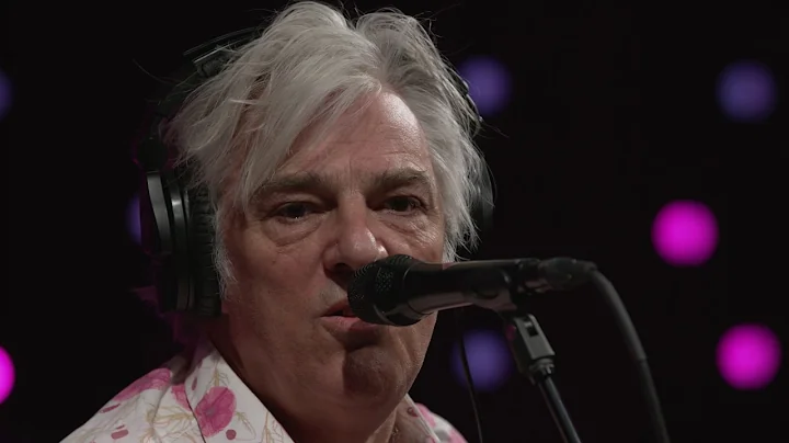 Robyn Hitchcock - Virginia Woolf (Live on KEXP)