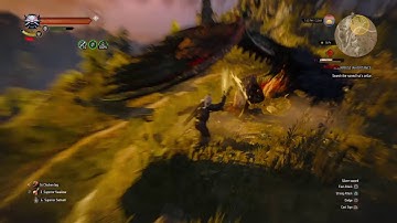 The Witcher 3: Wild Hunt - A Surprise Inheritance