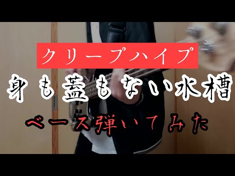 『クリープハイプ/身も蓋もない水槽』ベース弾いてみた‼Bass Cover