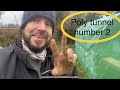 Budget polytunnels - are they worth it? how to build a polytunnel.