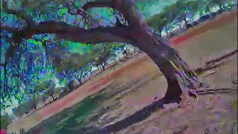 Pushing my limits - Hyperlite Floss v2 vs "Anit-floss"