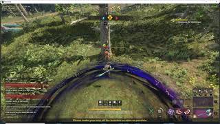 New World - Infinite Damage Bug