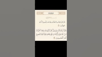 و تظن أنه أحاطت بك الهموم والأحزان فتأتي إلى سورة يوسف لتواسيك#يوسف#سورة#قرآن#الجمعة#quran