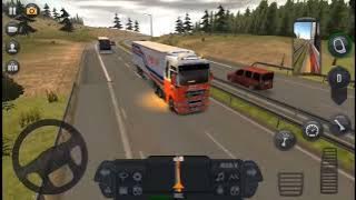 tenonet hon lori (MAN)