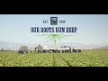 Our Roots Run Deep | Church Brothers Farms