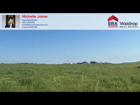 32 CO RD 1464, Cullman, AL home video tour