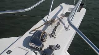 Pro Fish Lewmar windlass