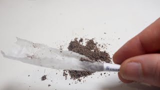 The HARSH REALITY about Pre Roll Joints